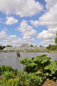 Cotton Wool Clouds over Kew -