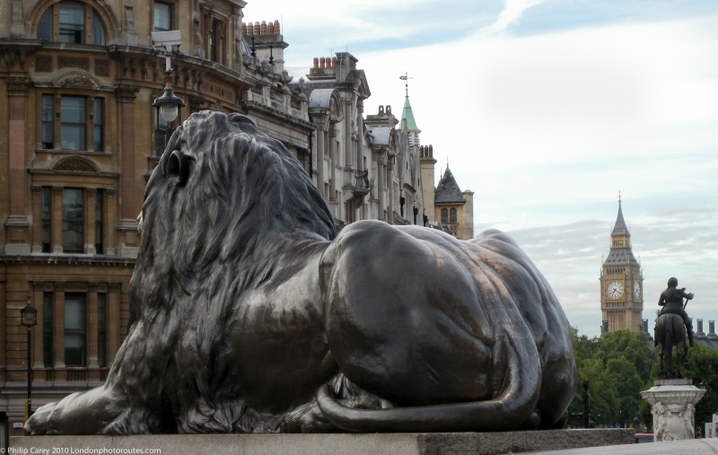 Trafalgar Square - Lions looking towards Big Ben